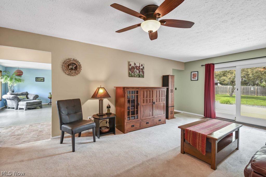 13964 Olde Orchard Road Strongsville OH 44136