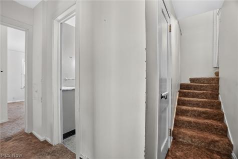 37 Chestnut Street Painesville OH 44077