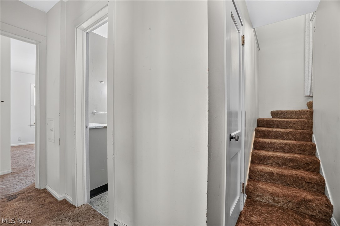 37 Chestnut Street Painesville OH 44077