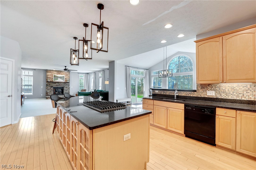 9308 Ashcroft Lane Twinsburg OH 44087