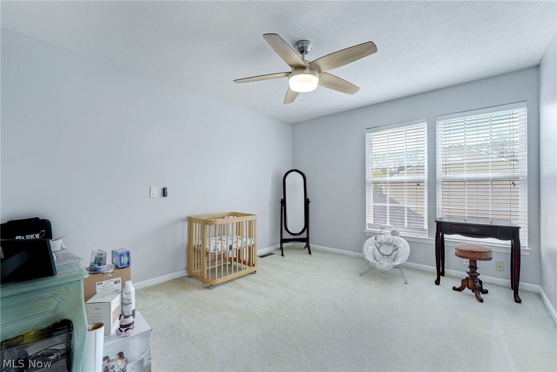 9308 Ashcroft Lane Twinsburg OH 44087