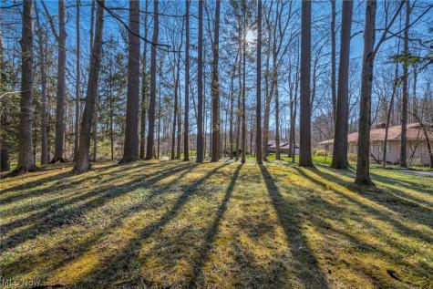 34580 Sherbrook Park Drive Solon OH 44139