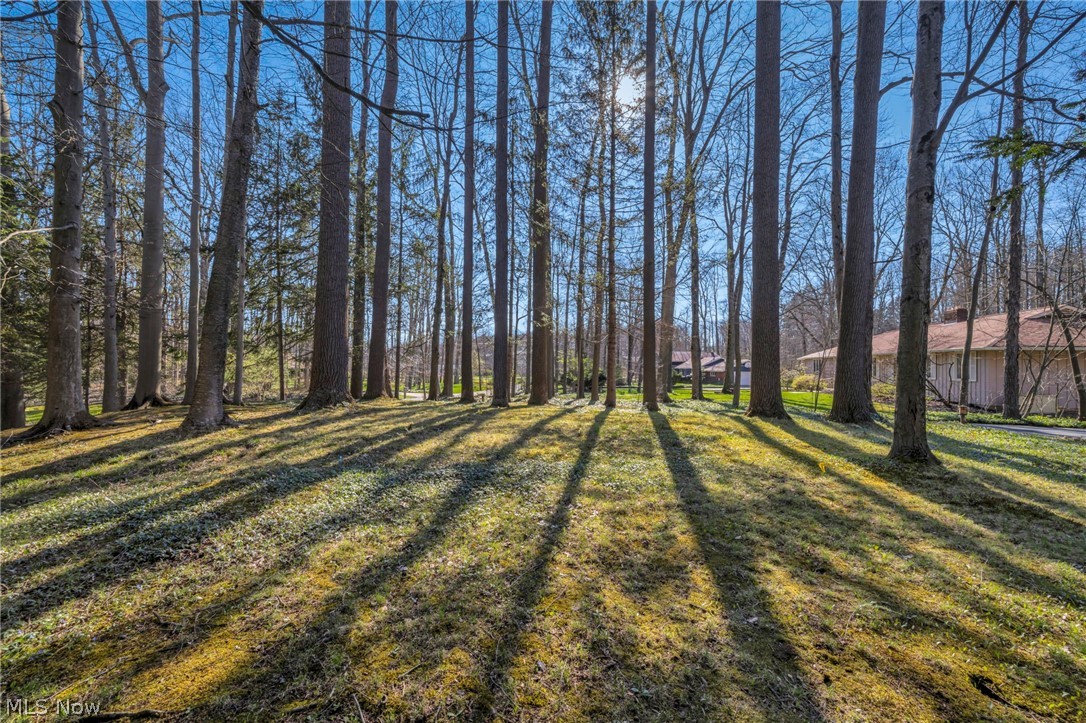 34580 Sherbrook Park Drive Solon OH 44139