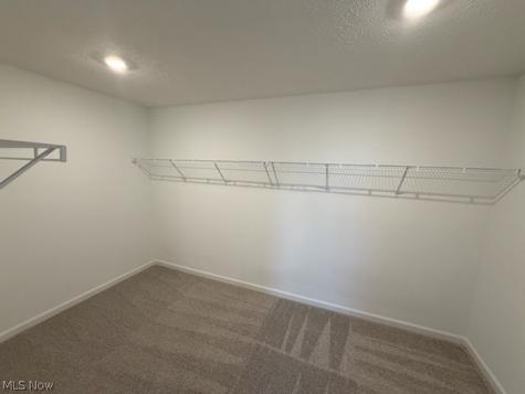6379 Cooper Hawk Drive Medina OH 44256
