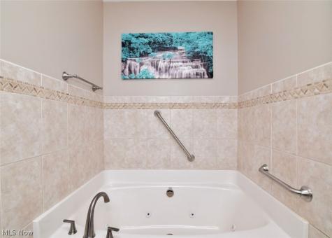 494 White Spruce Drive Macedonia OH 44056