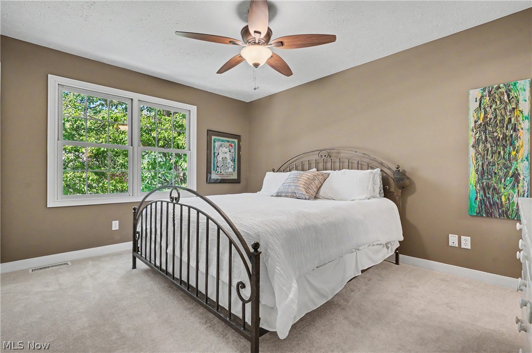 6165 Loch Lomond Court Solon OH 44139