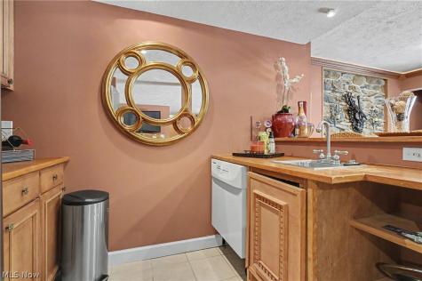 6165 Loch Lomond Court Solon OH 44139