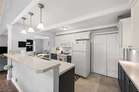 267 Rustic Rook Road Chippewa Lake OH 44215