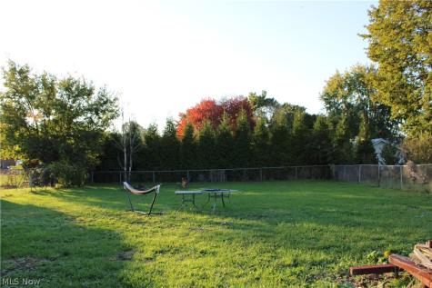 124 S Market Street Lodi OH 44254