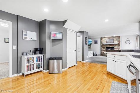 490 Cherrywood Lane Painesville OH 44077