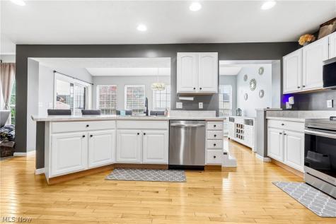 490 Cherrywood Lane Painesville OH 44077