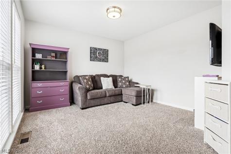 490 Cherrywood Lane Painesville OH 44077