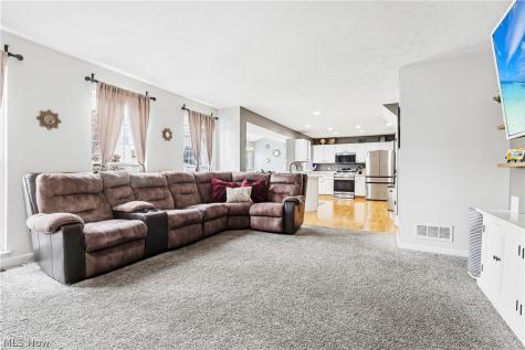 490 Cherrywood Lane Painesville OH 44077