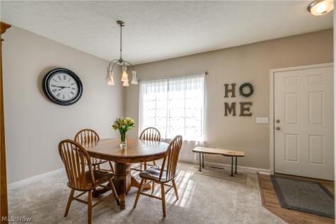 163 Newton Drive Wadsworth OH 44281