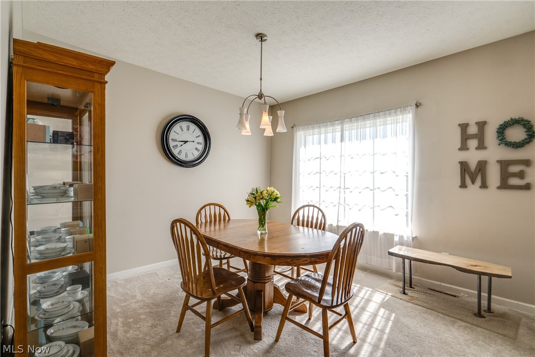 163 Newton Drive Wadsworth OH 44281
