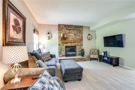 163 Newton Drive Wadsworth OH 44281
