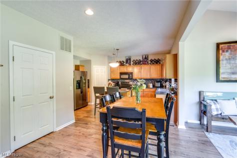 163 Newton Drive Wadsworth OH 44281
