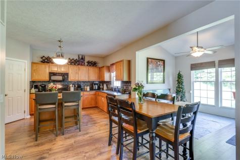 163 Newton Drive Wadsworth OH 44281