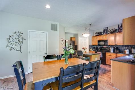 163 Newton Drive Wadsworth OH 44281