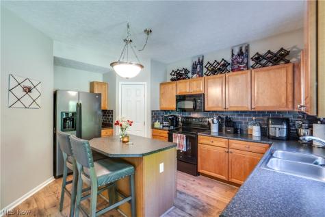 163 Newton Drive Wadsworth OH 44281