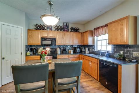 163 Newton Drive Wadsworth OH 44281