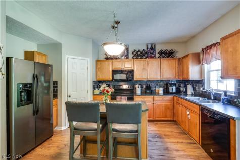 163 Newton Drive Wadsworth OH 44281