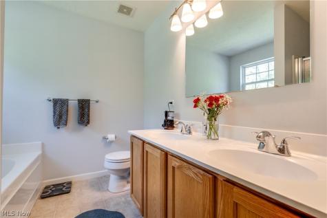 163 Newton Drive Wadsworth OH 44281
