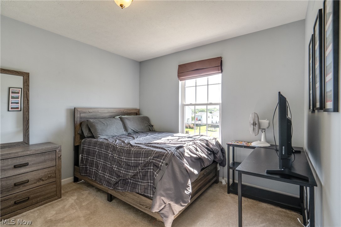 163 Newton Drive Wadsworth OH 44281