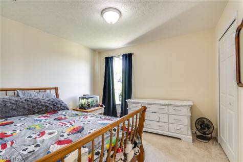 163 Newton Drive Wadsworth OH 44281