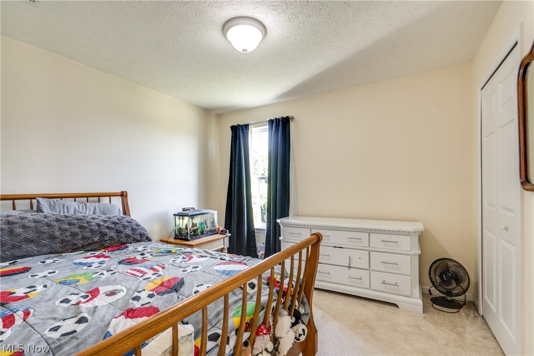 163 Newton Drive Wadsworth OH 44281