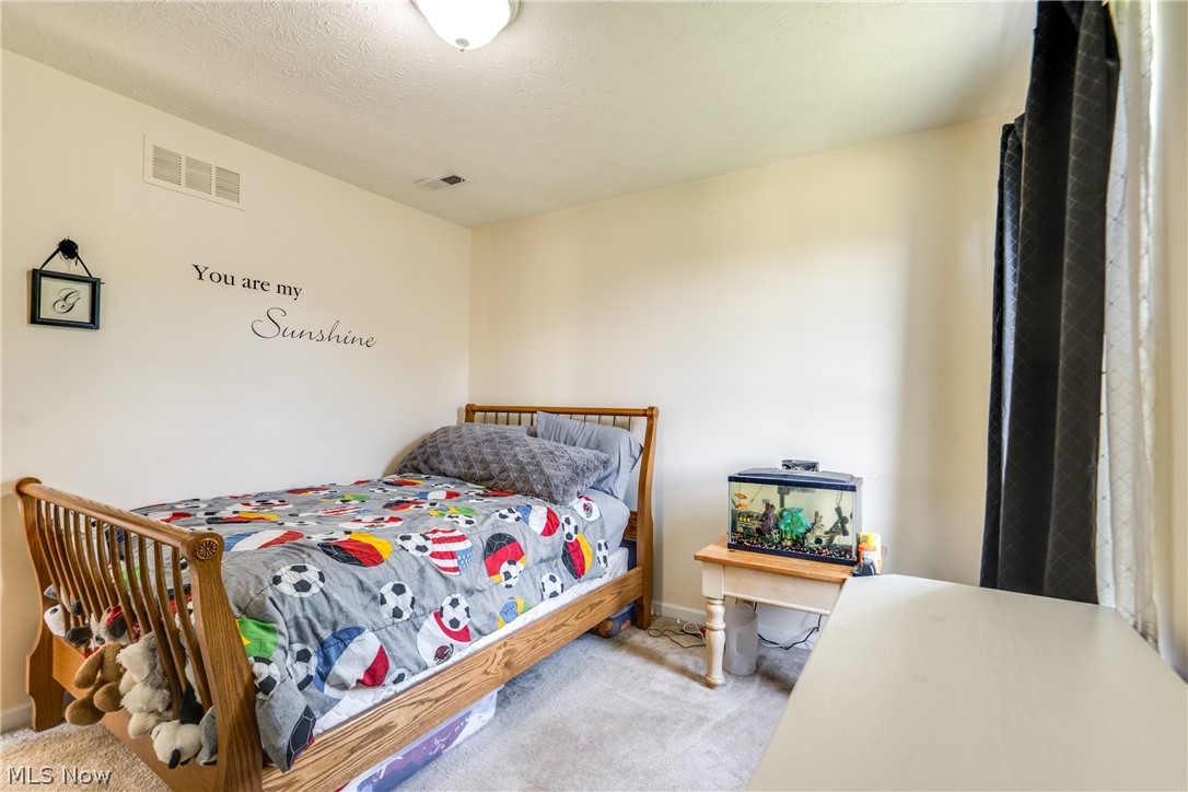 163 Newton Drive Wadsworth OH 44281