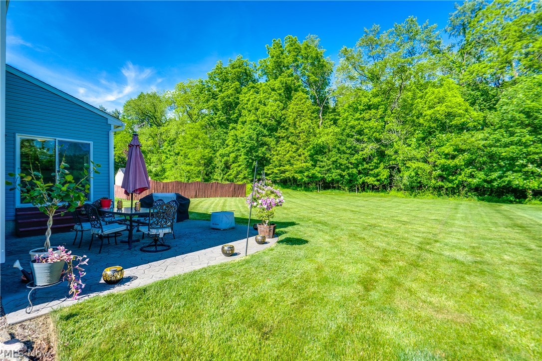 163 Newton Drive Wadsworth OH 44281