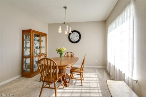 163 Newton Drive Wadsworth OH 44281