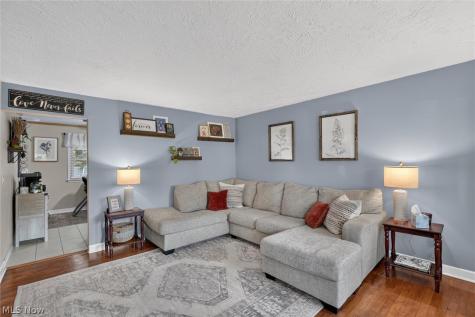 166 Pinewood Drive Elyria OH 44035