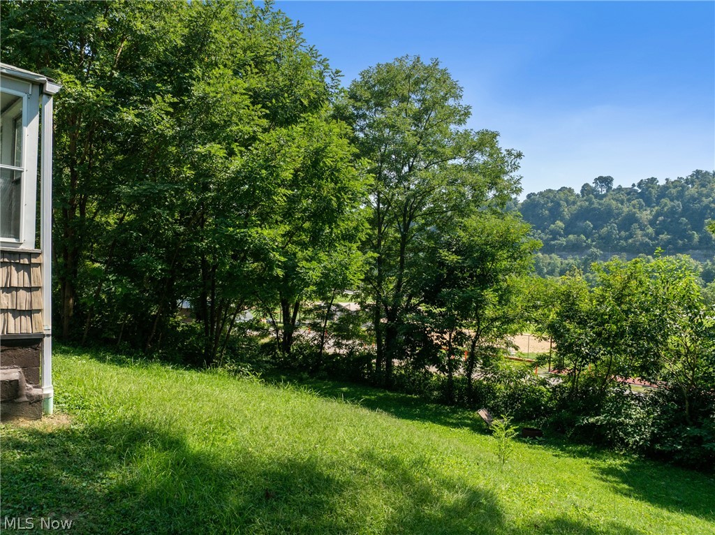 4447 Riverside Drive Shadyside OH 43947