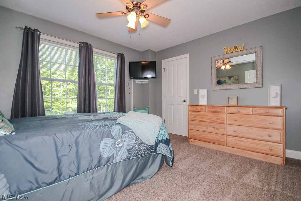 3991 N Myers Road Geneva OH 44041