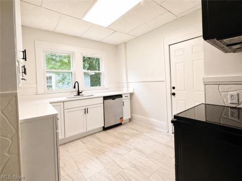 1007 Delia Avenue Akron OH 44320