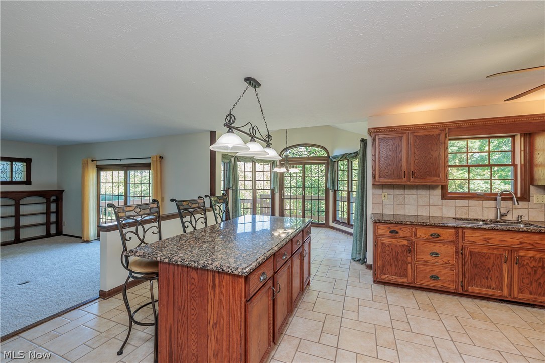 2881 Pine Hill Drive Medina OH 44256