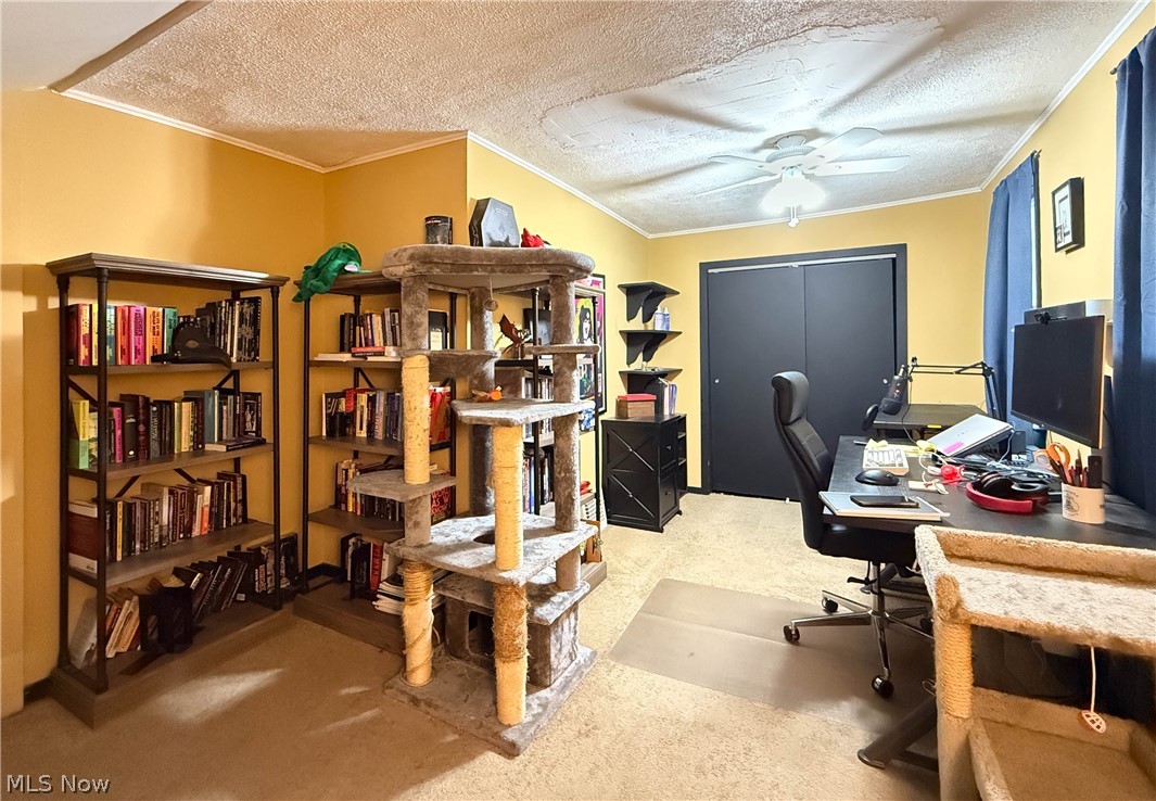 33 Henry Street Berea OH 44017