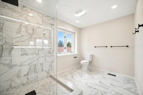 1072 Valley Creek Drive Eastlake OH 44095