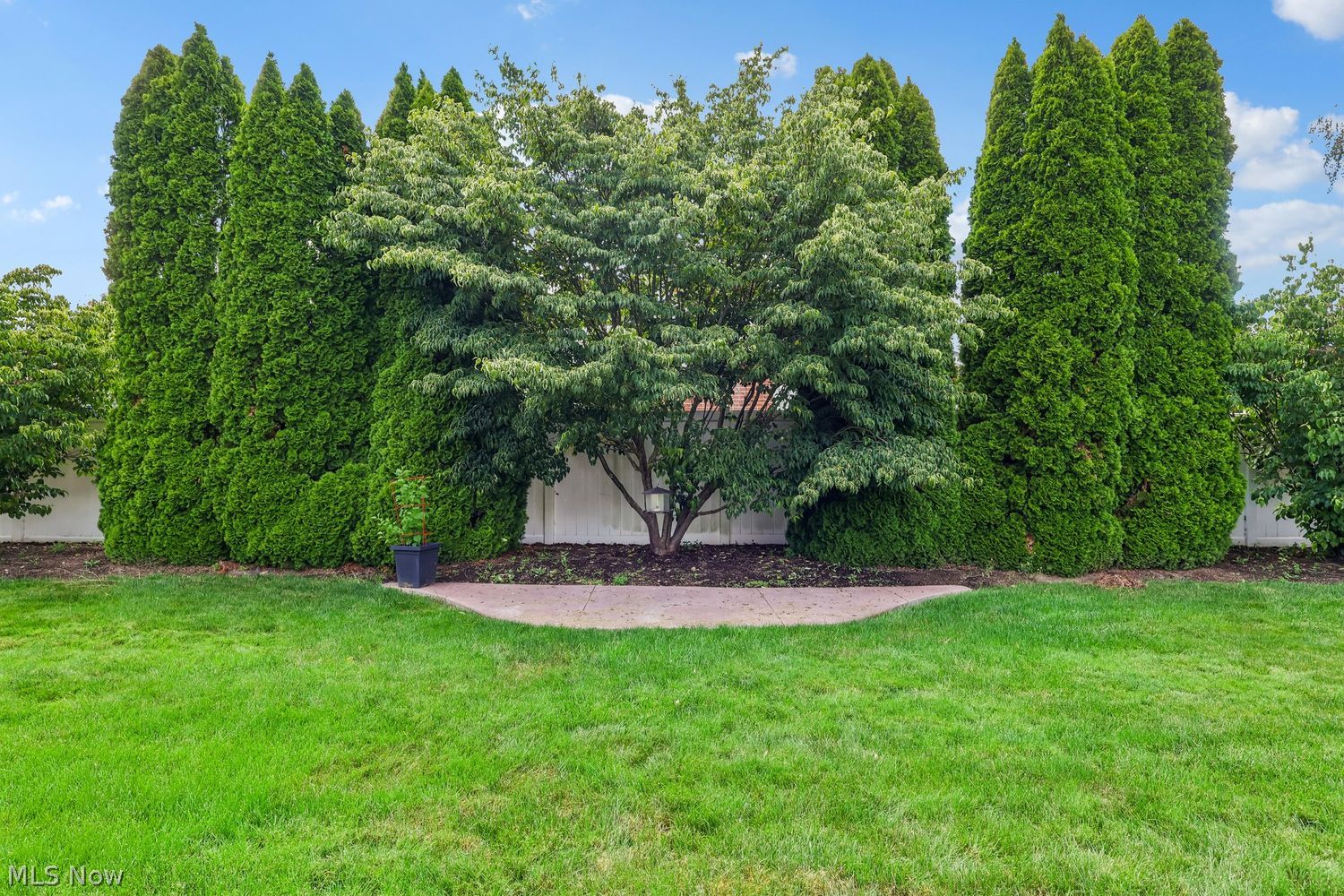 124 Cannon Drive Wooster OH 44691