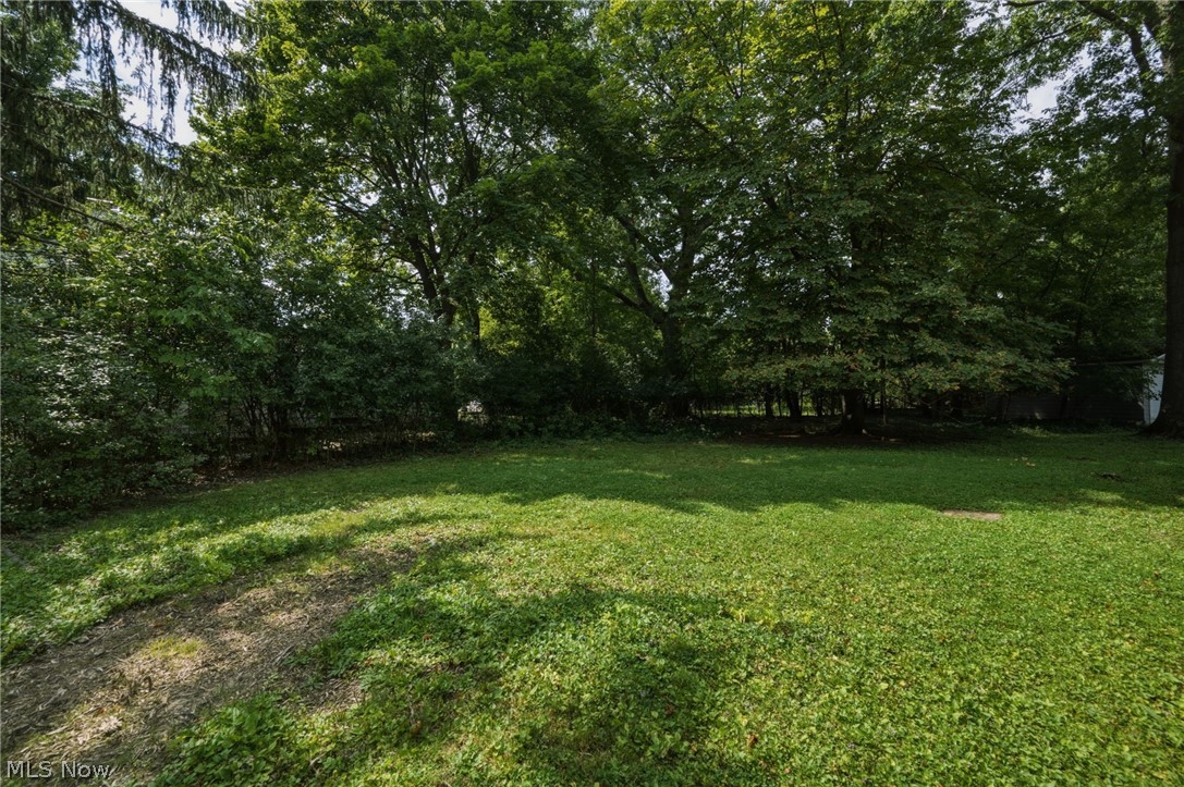 1517 Parkhill Road Cleveland Heights OH 44121