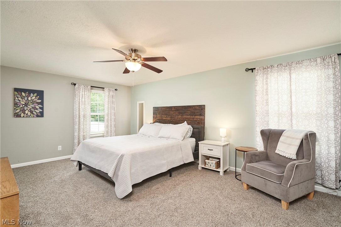 6557 Pine Bluff Avenue NE Canton OH 44721
