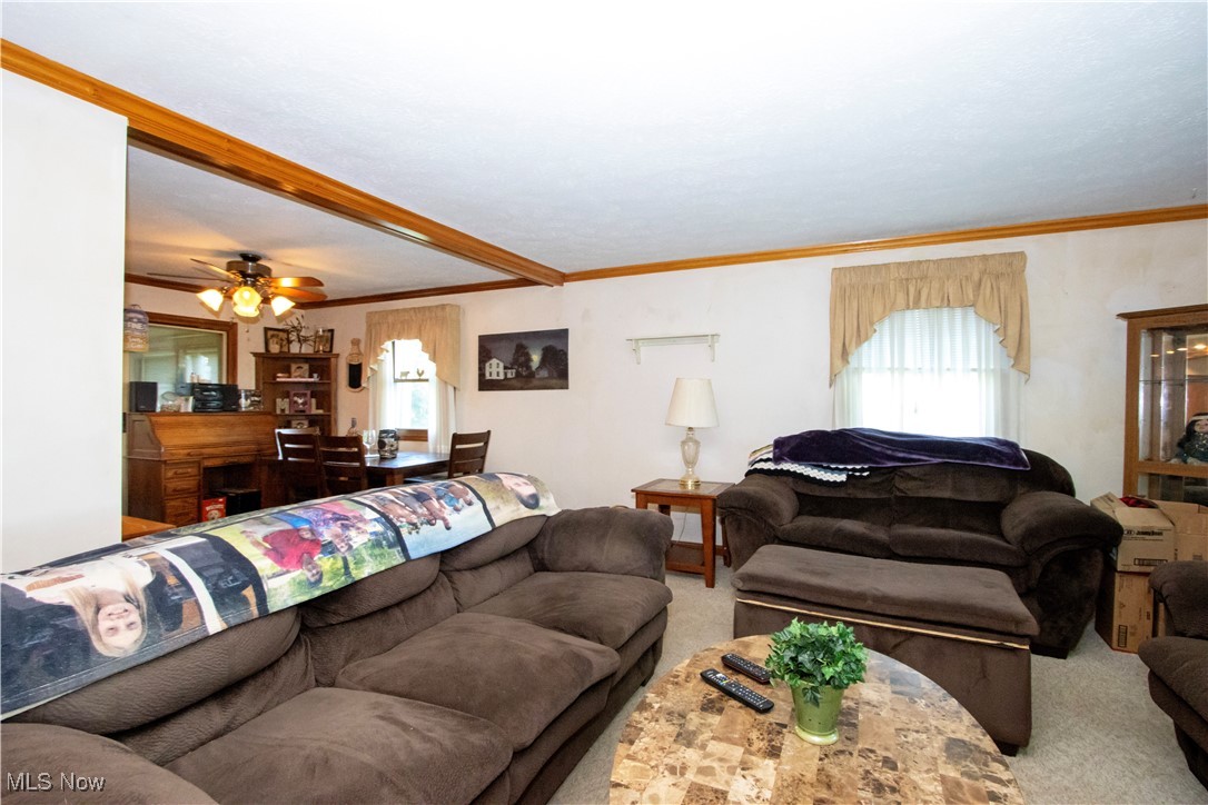 1292 Cinder Road SE Bergholz OH 43908
