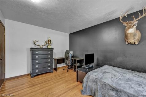 3665 Russett Drive Broadview Heights OH 44147