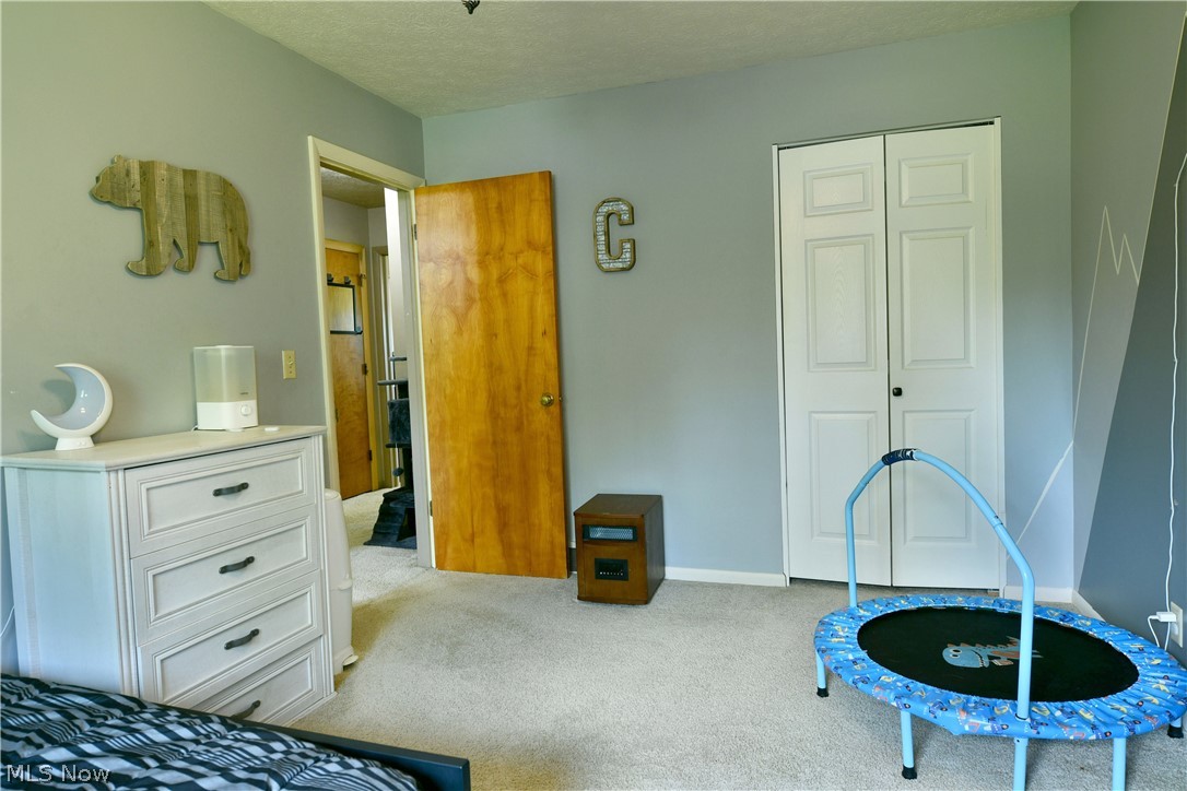 2484 Mahan Denman Road Cortland OH 44410