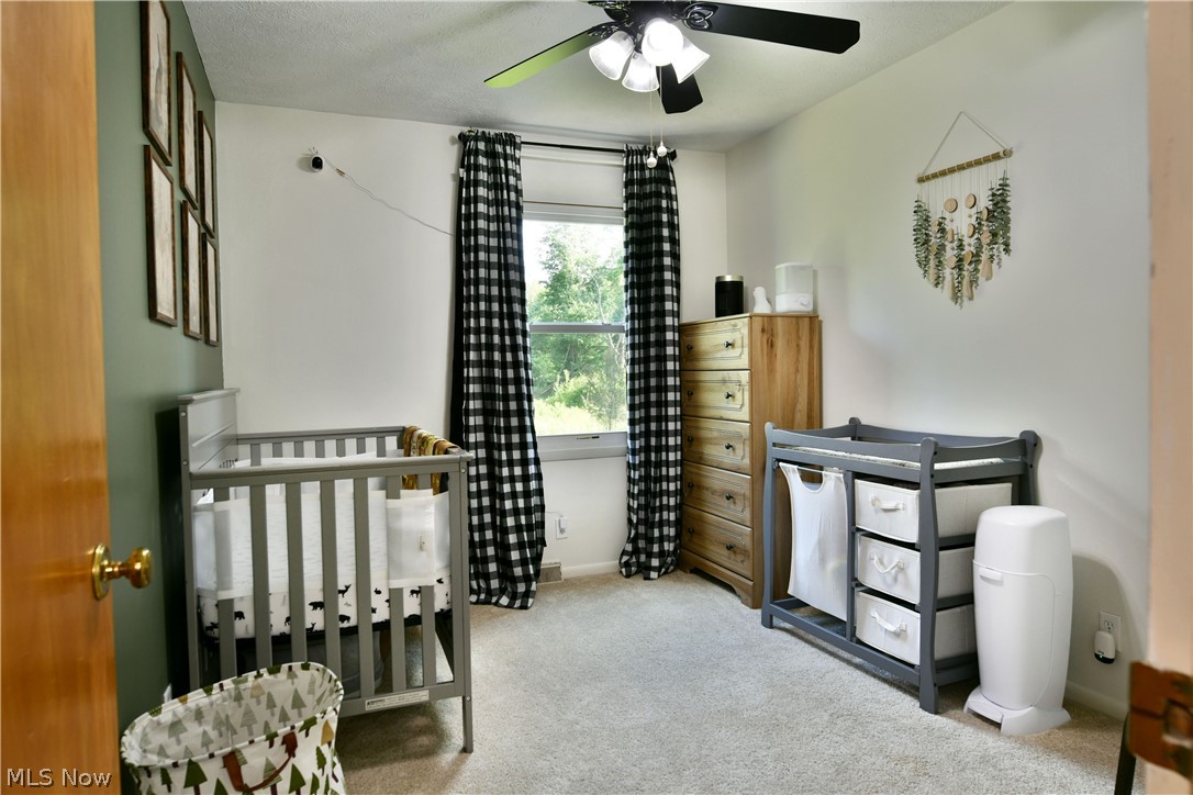 2484 Mahan Denman Road Cortland OH 44410