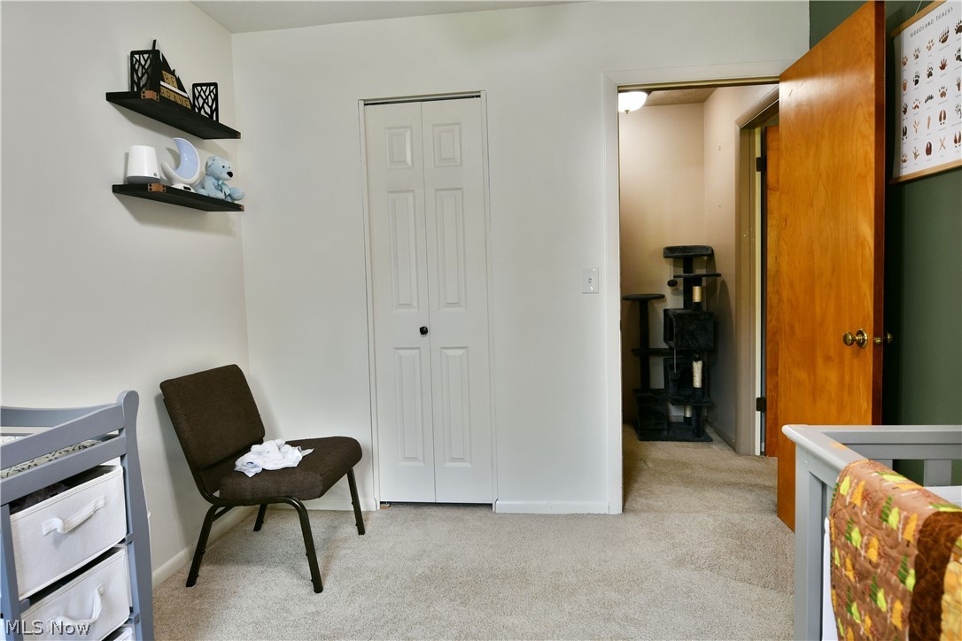 2484 Mahan Denman Road Cortland OH 44410