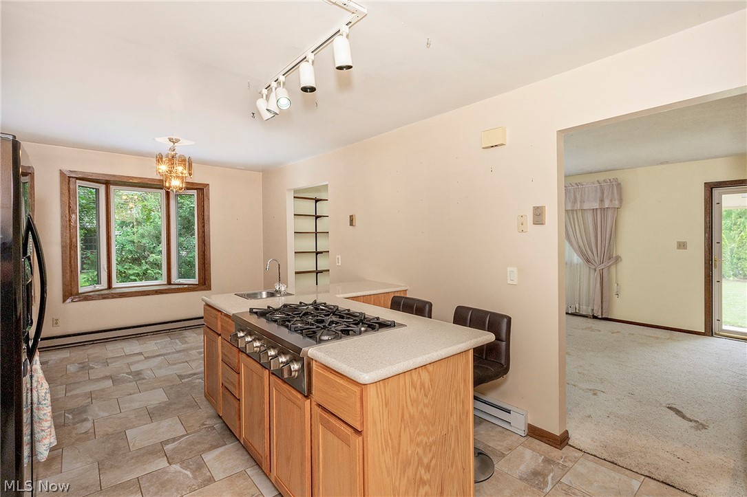 5339 E Heisley Road Mentor OH 44060