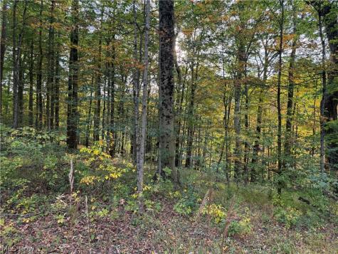8020 Arbon Drive Millersburg OH 44654
